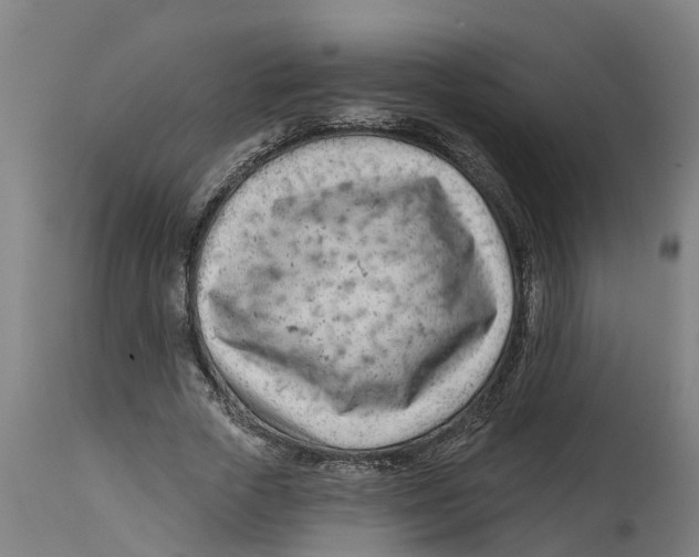 X0000114400729200911131405