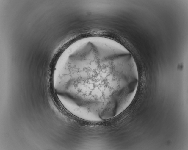 X0000114400730200911131405