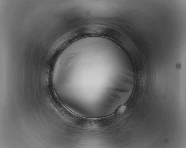 X0000114400735200911131405