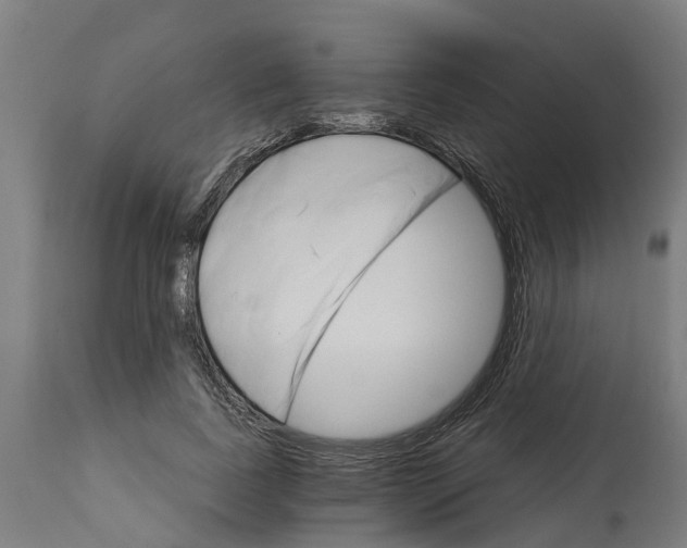 X0000114400739200911131405