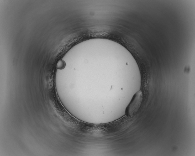 X0000114400743200911131405