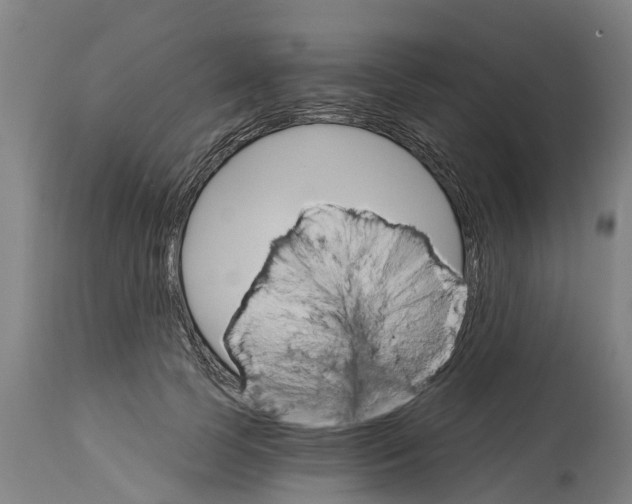 X0000114400745200911131405