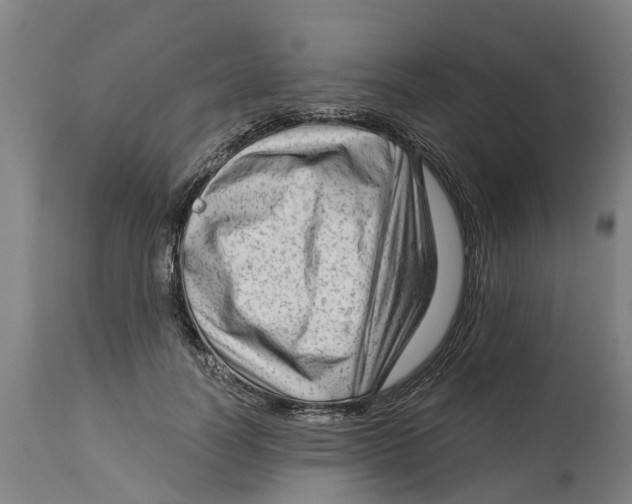 X0000114400746200911131405