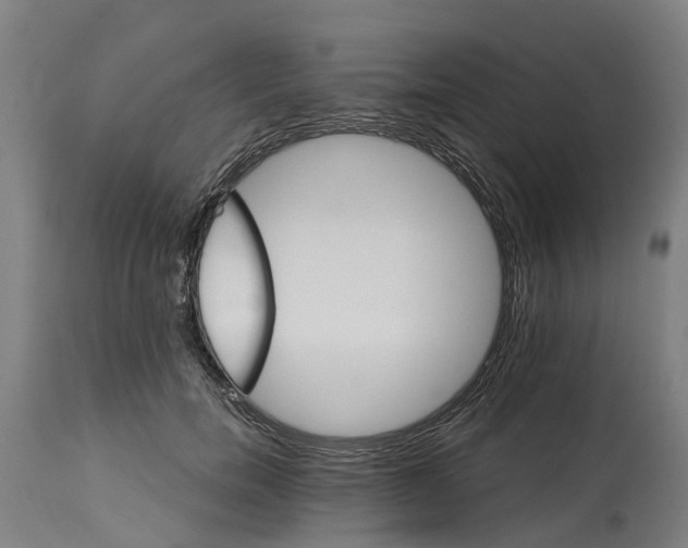 X0000114400750200911131406