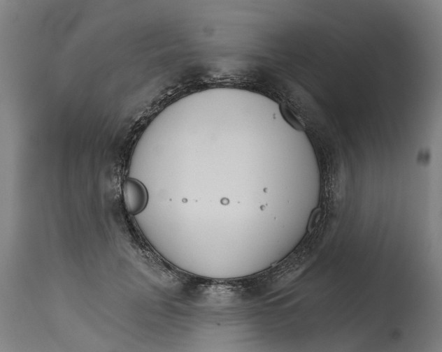 X0000114400751200911131406