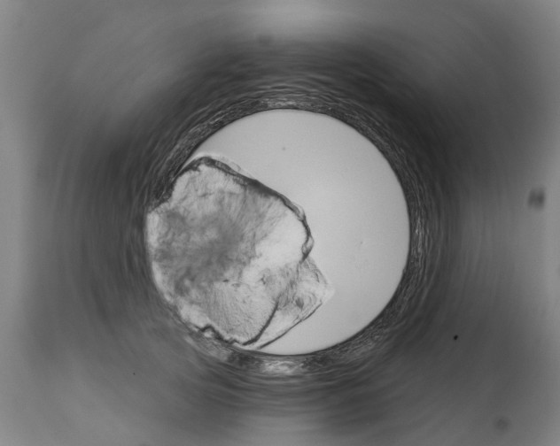 X0000114400753200911131406