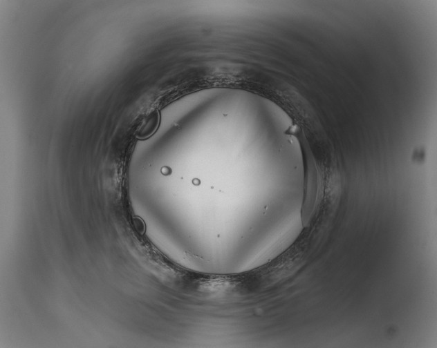 X0000114400759200911131406