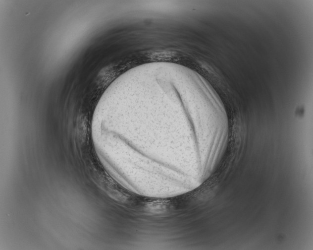 X0000114400761200911131406