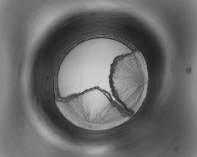 X0000114400765200911131406