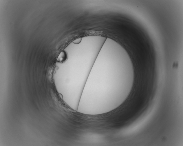 X0000114400767200911131406