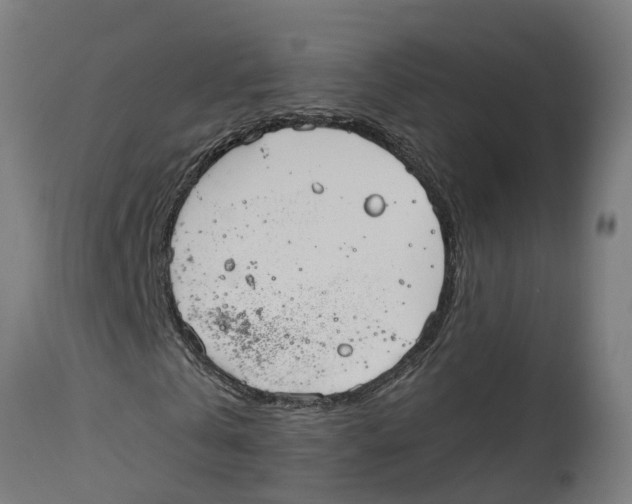 X0000114400769200911131405