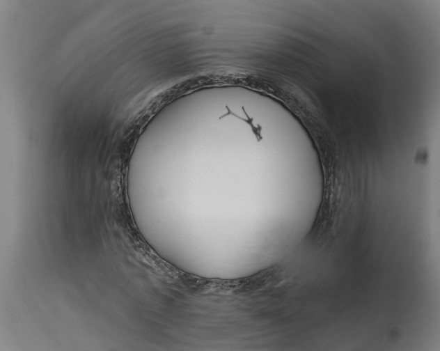 X0000114400773200911131405