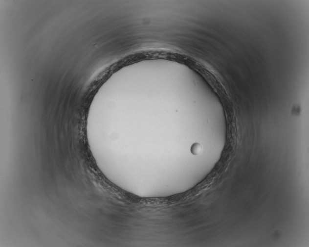 X0000114400775200911131405