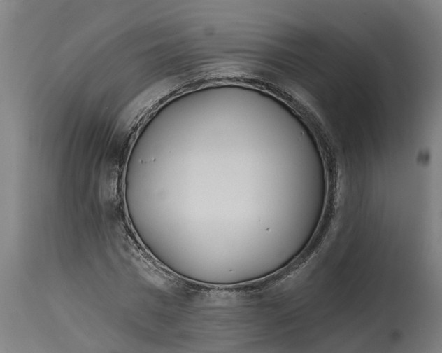 X0000114400777200911131405