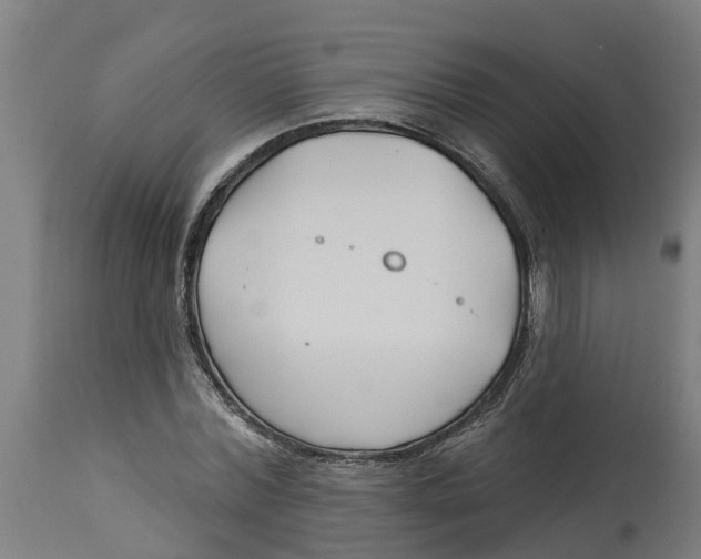 X0000114400780200911131405