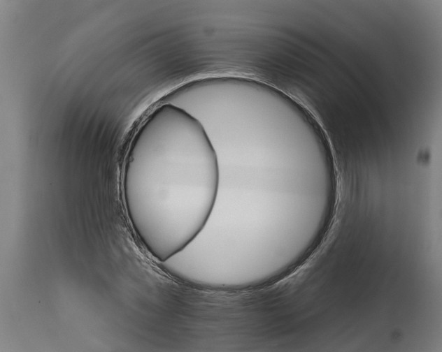 X0000114400781200911131405