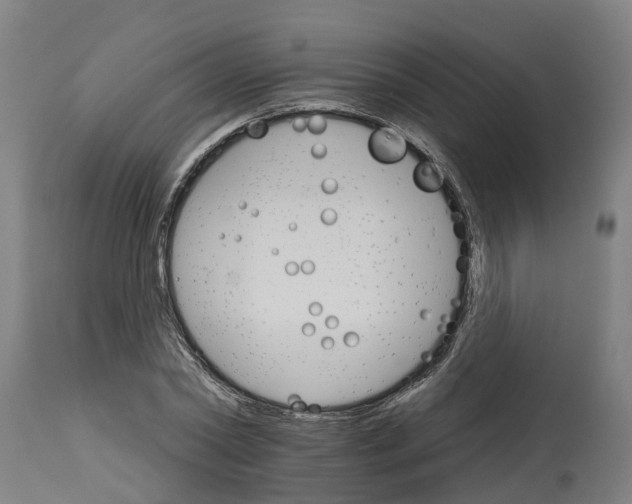 X0000114400782200911131405