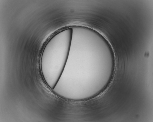 X0000114400783200911131405