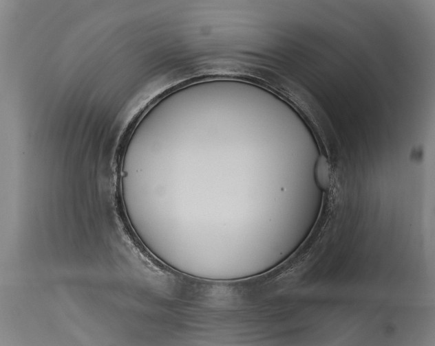 X0000114400787200911131405