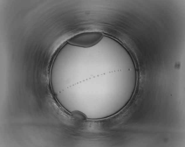 X0000114400789200911131405