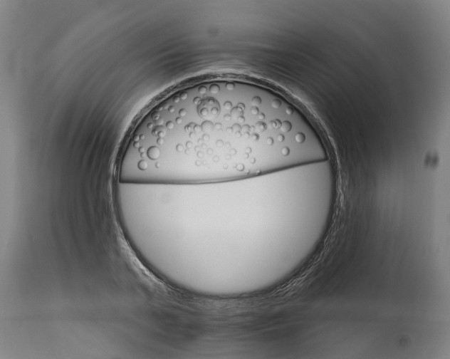 X0000114400791200911131405