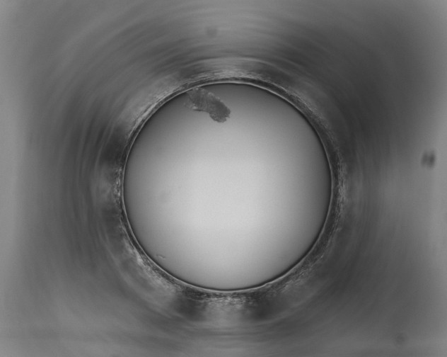 X0000114400793200911131405