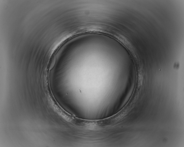 X0000114400798200911131405