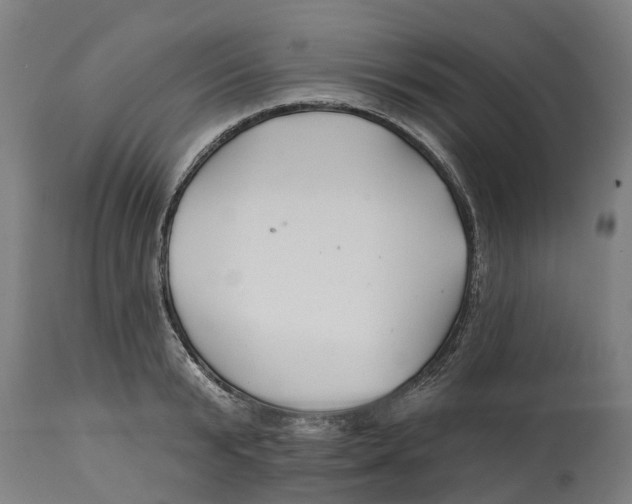 X0000114400799200911131405