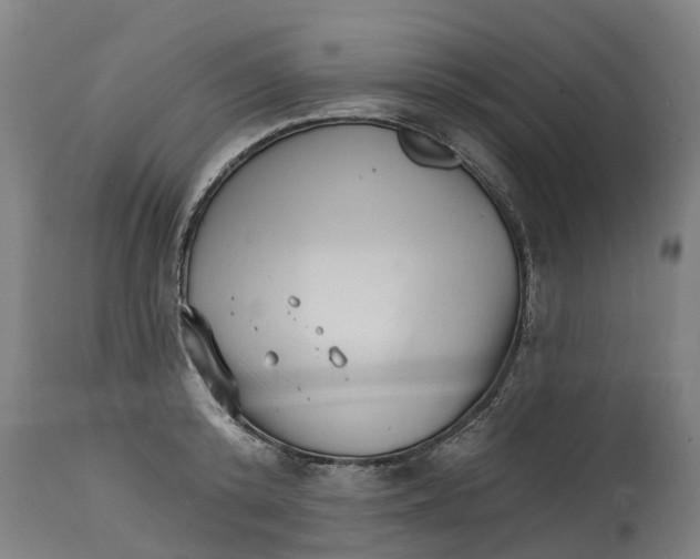 X0000114400800200911131405