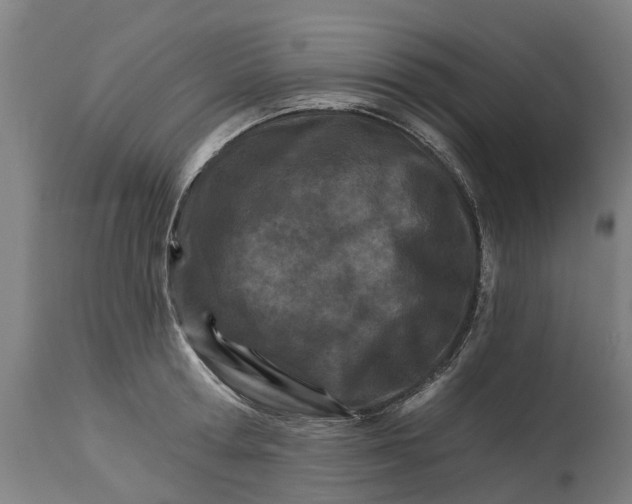 X0000114400802200911131404