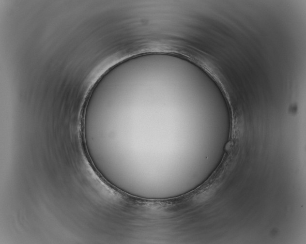 X0000114400803200911131404