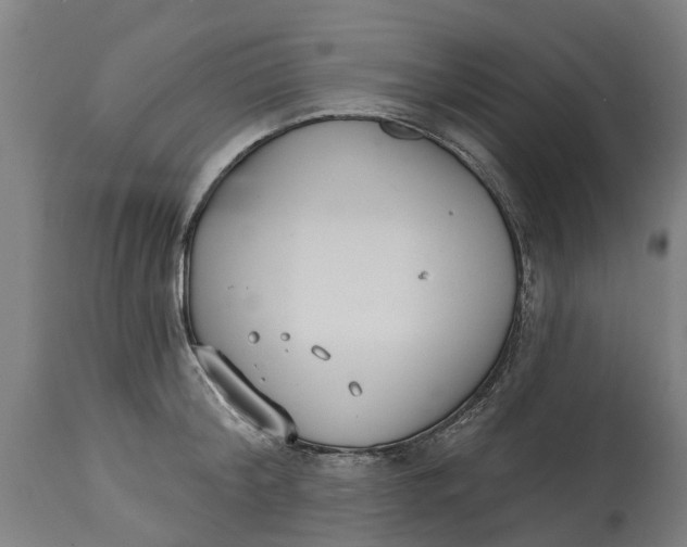 X0000114400804200911131404