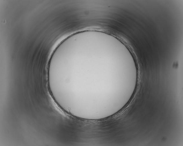 X0000114400808200911131404