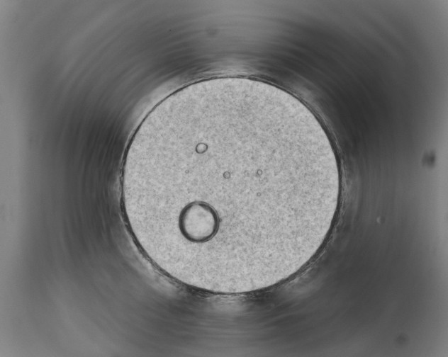 X0000114400810200911131404