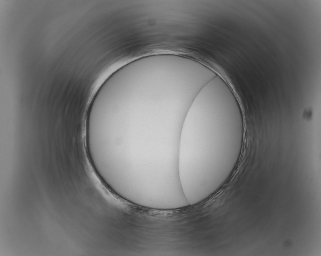 X0000114400811200911131404