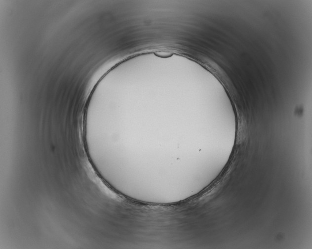 X0000114400812200911131404