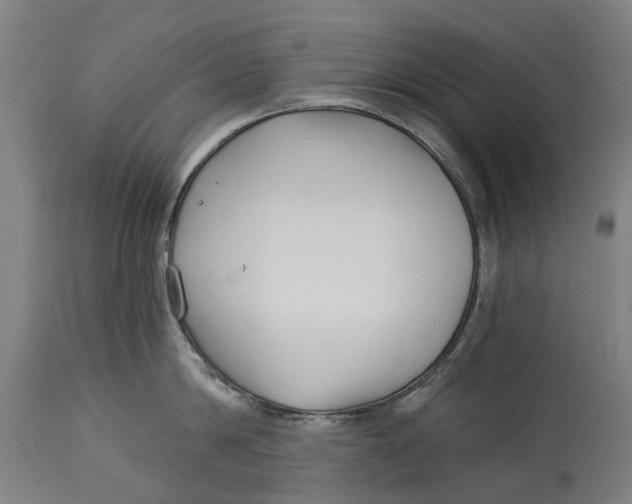 X0000114400814200911131404