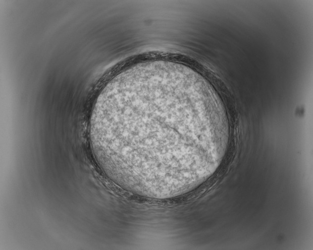 X0000114400822200911131404