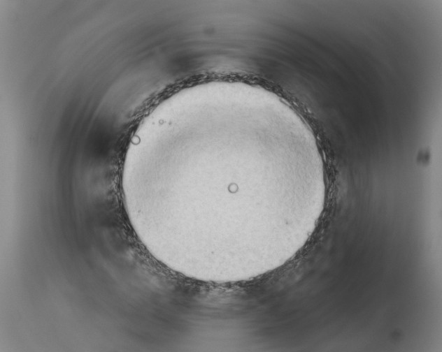 X0000114400824200911131404