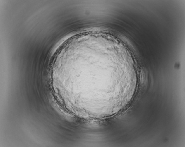 X0000114400828200911131404