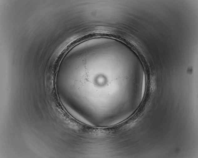 X0000114400829200911131404