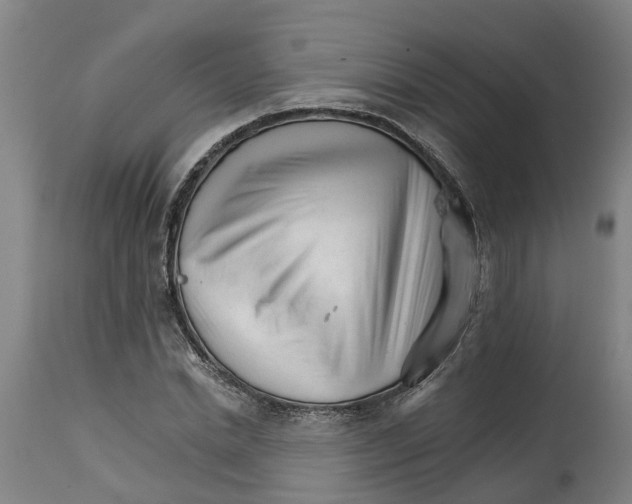 X0000114400830200911131404