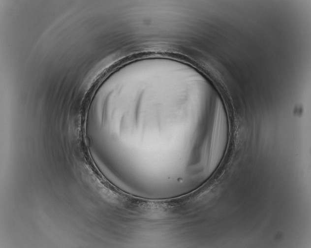 X0000114400831200911131404