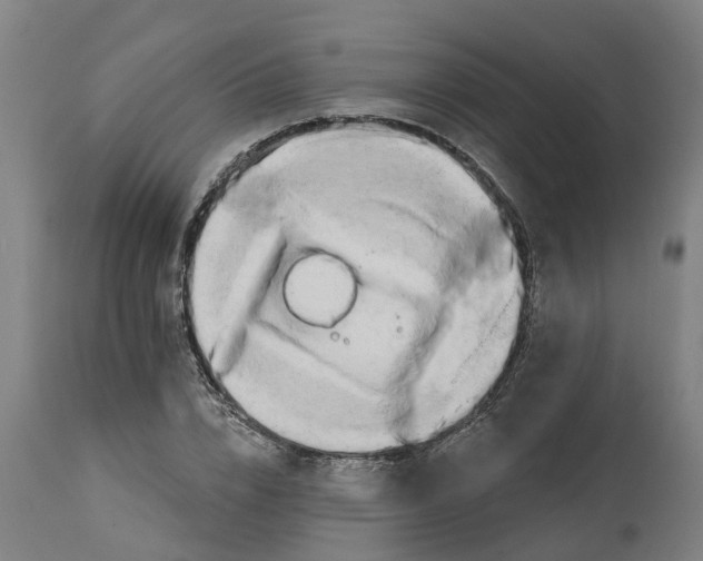 X0000114400832200911131404