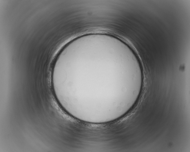 X0000114400835200911131404