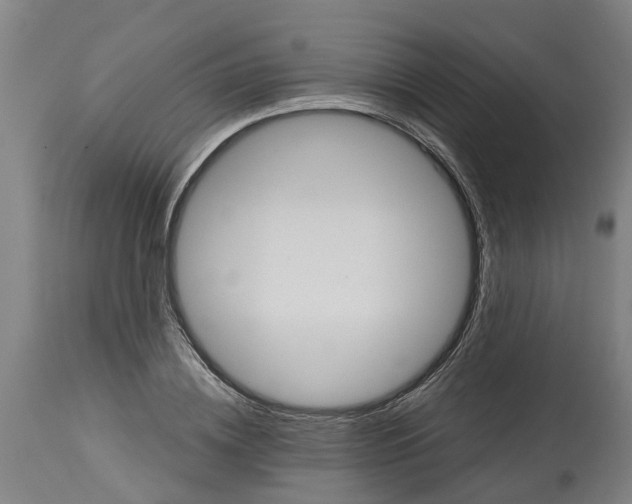 X0000114400836200911131404