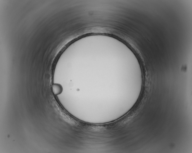 X0000114400837200911131404