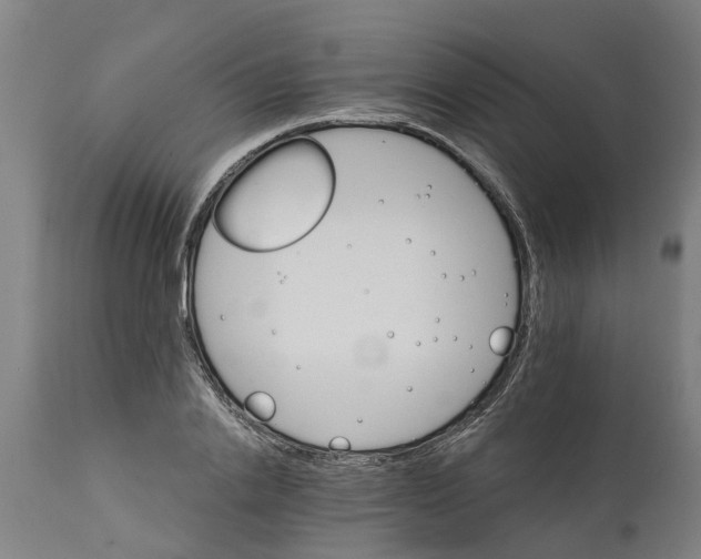 X0000114400838200911131404