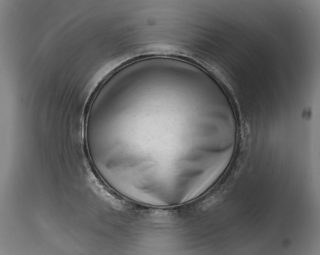 X0000114400839200911131404