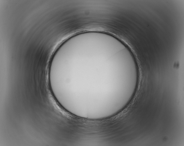 X0000114400840200911131404